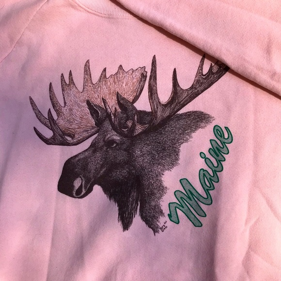 Light Pink Fruit of the Loom MAINE Crewneck - XL - Picture 2 of 4